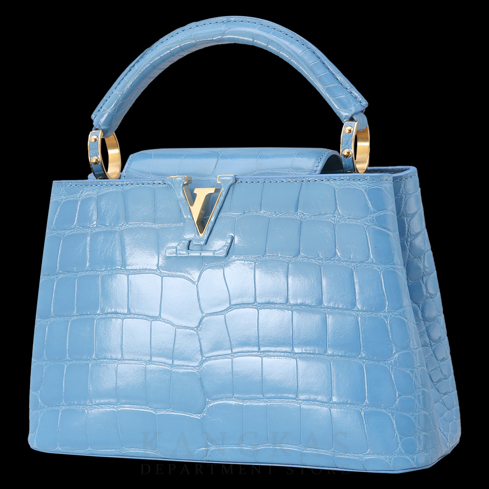 LOUIS VUITTON(USED)루이비통 와니 카퓌신 BB